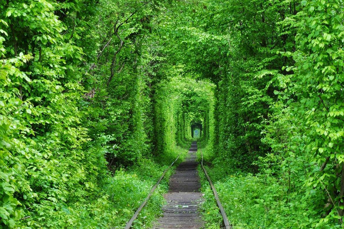 Тоннель любви в Украинском Полесье